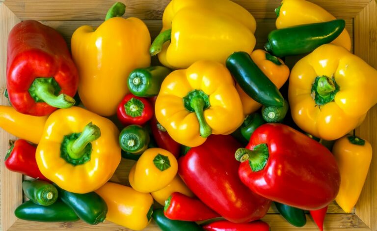 В Україні подешевшали овочі: як змінилися ціни на помідори, перець та часник у вересні - today.ua