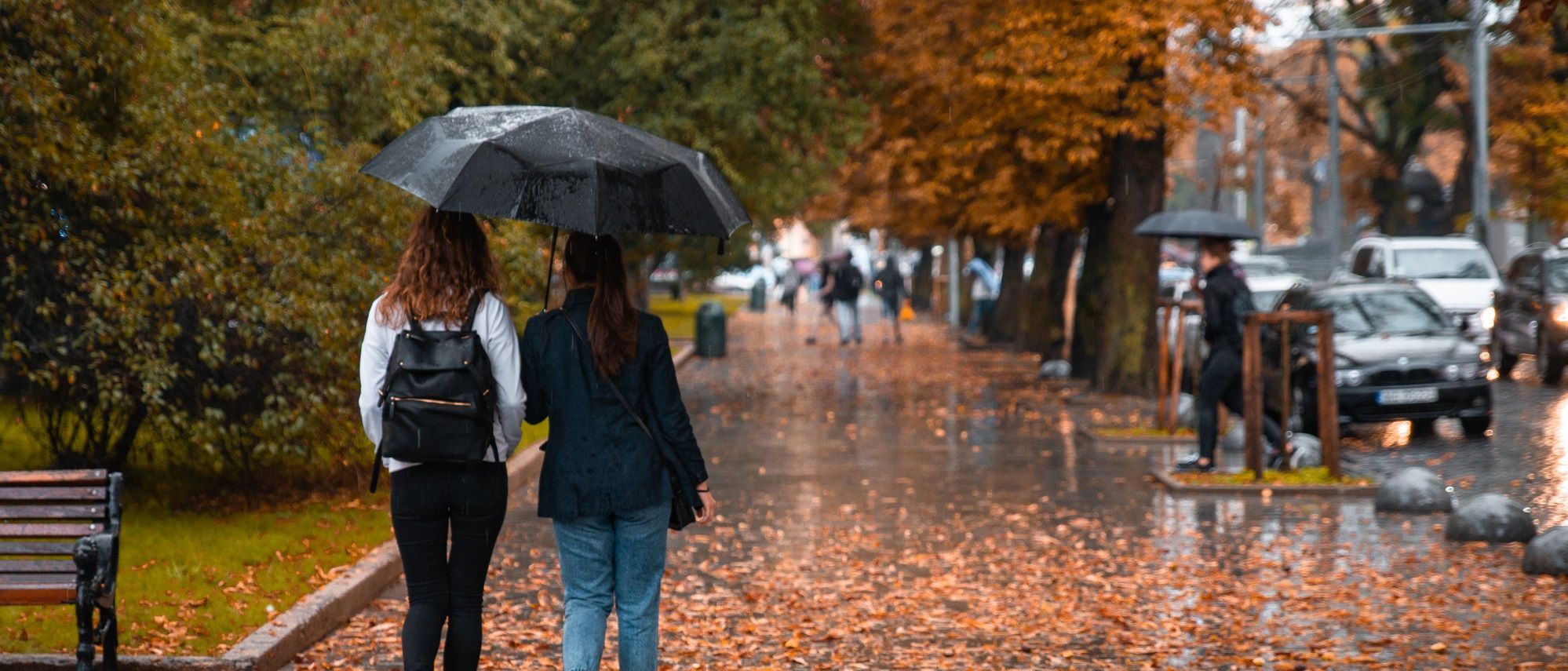 Украину накроют дожди с грозами: синоптики предупредили о резком ухудшении погоды