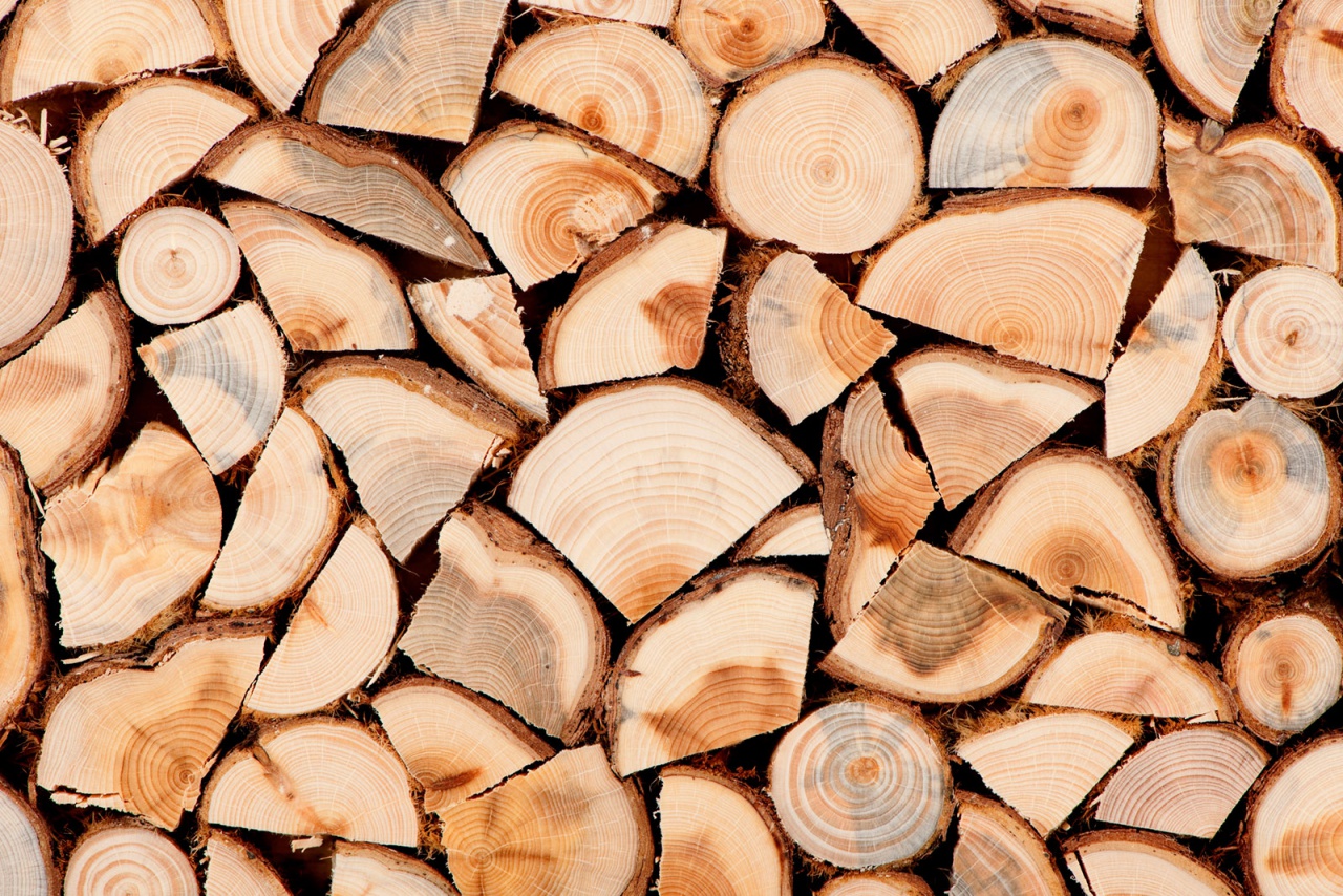 Опалювальний сезон під загрозою: скільки коштують дрова, брикети та вугілля для українців