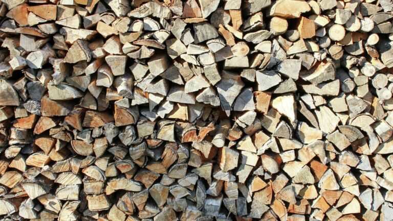 В Украине выросли цены на дрова: где выгоднее закупиться на зиму, и какие породы деревьев выбирать - today.ua