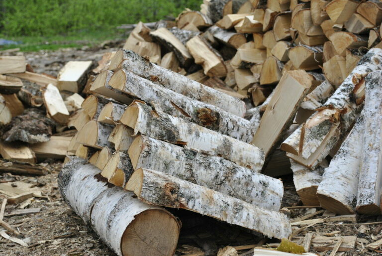 Дуб, береза чи акація: які дрова краще обрати для опалення  - today.ua