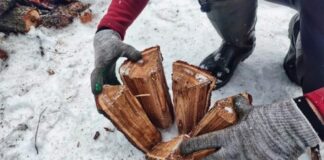 В Украине дрова подорожали на четверть, а спрос вырос в два раза: цены по регионам - today.ua