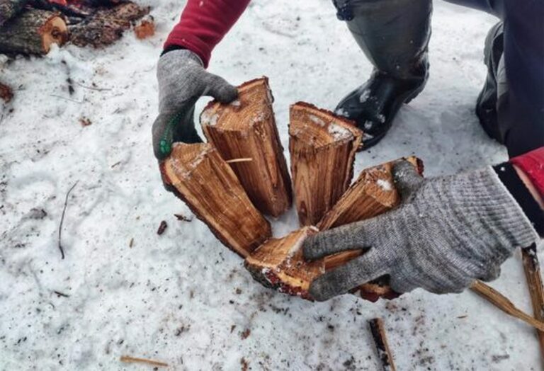 В Україні дрова подорожчали на чверть, а попит зріс у два рази: ціни по регіонах - today.ua