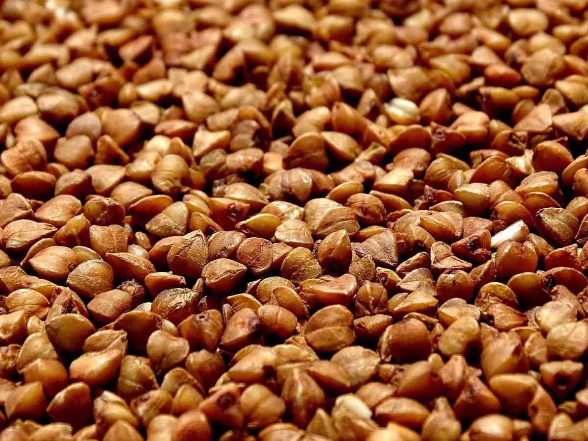 Гречка в Украине подешевела: украинские супермаркеты обновили цены на популярную крупу