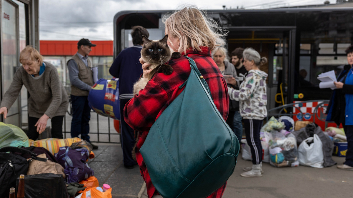 Виплати переселенцям із Криму: хто зможе отримати грошову допомогу та за яких умов