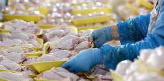 В Україні подорожчала курятина: як змінилися ціни на м'ясо у супермаркетах наприкінці вересня - today.ua