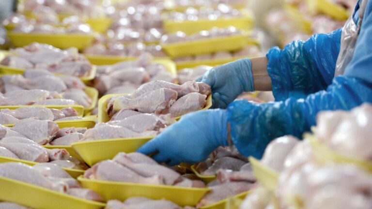 В Украине подорожала курятина: как изменились цены на мясо в супермаркетах в конце сентября - today.ua