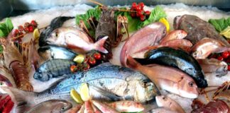 Золотая рыбка: из-за новых цен на рыбу большинству украинцев стали недоступны карпы и скумбрия - today.ua