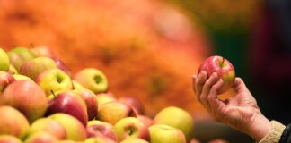 В Украине растут цены на яблоки осеннего урожая: сколько стоят фрукты в супермаркетах и на рынках - today.ua