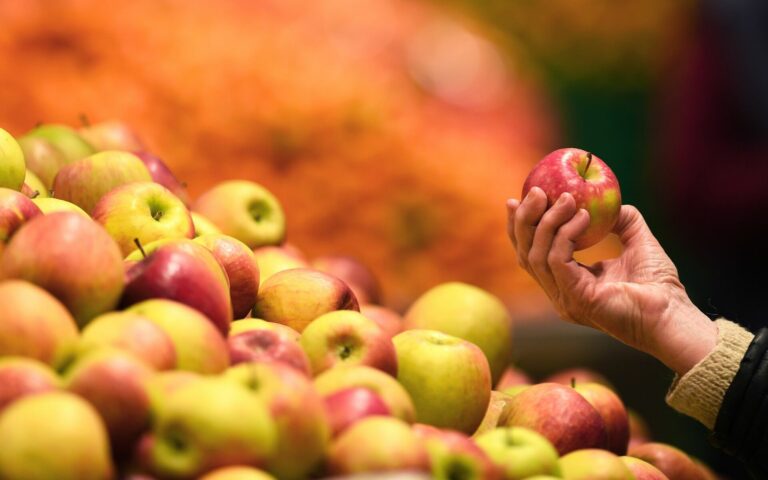 В Україні зростають ціни на яблука осіннього врожаю: скільки коштують фрукти у супермаркетах та на базарах - today.ua