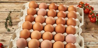 В Україні рекордно дорожчають яйця: експерти розповіли, скільки коштуватиме десяток до кінця зими - today.ua