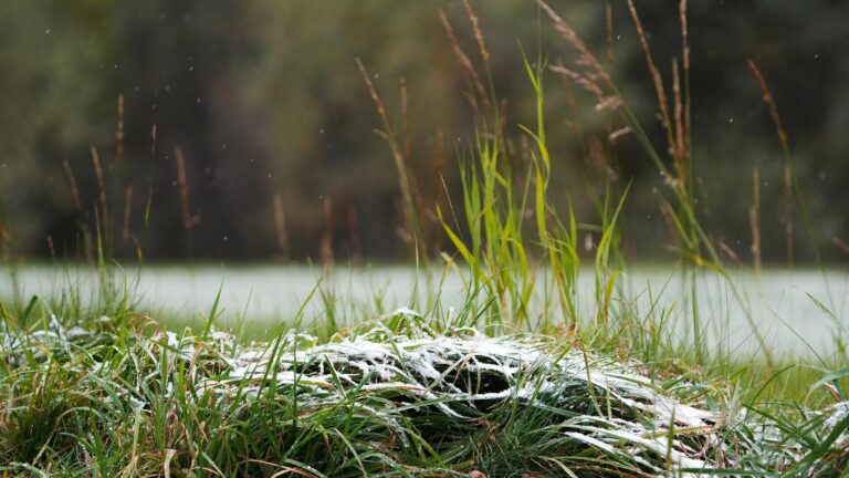 В Україну насуваються заморозки: синоптики назвали регіони, в яких різко похолодає наприкінці тижня - today.ua