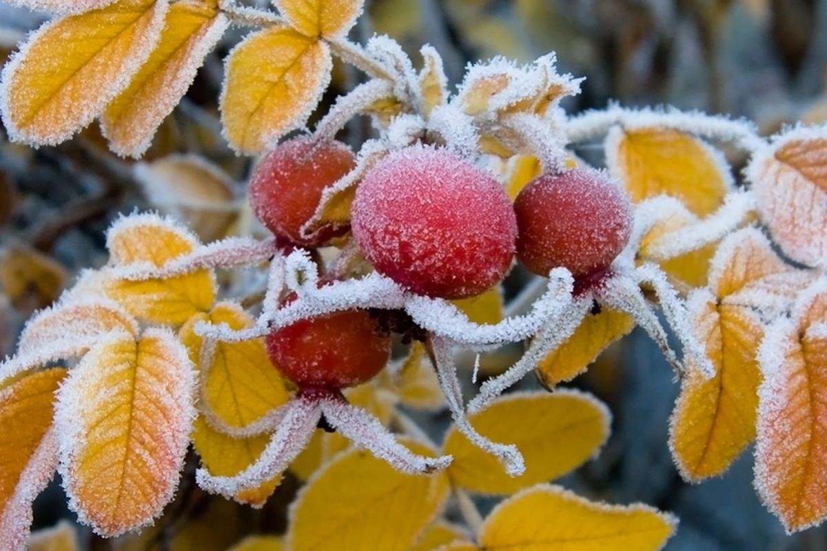 “Лютий буде незвичайним“: синоптики спрогнозували погоду на останній місяць зими