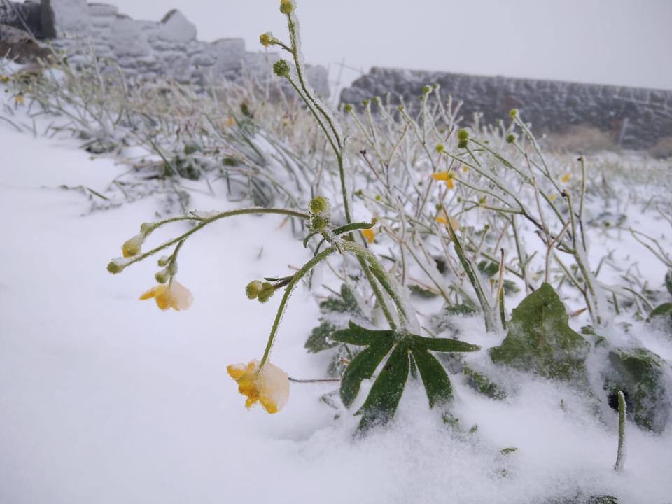 Коли зима зовсім не на радість: в Україні випав перший сніг (ФОТО)