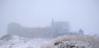 Когда зима совсем не в радость: в Украине выпал первый снег (ФОТО) - today.ua