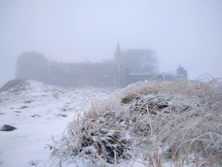 Когда зима совсем не в радость: в Украине выпал первый снег (ФОТО) - today.ua