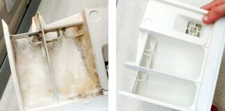 Як очистити лоток в пральній машинці від накипу та залишків прального порошку - один простий і дешевий засіб - today.ua