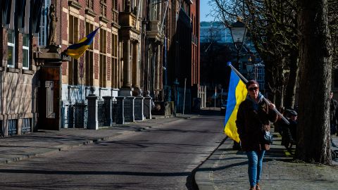 Нидерланды ввели новые правила трудоустройства для украинских беженцев: что изменится с 1 ноября