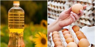 В Украине рекордно подорожали яйца и подсолнечное масло: сколько стоят продукты в середине октябре  - today.ua