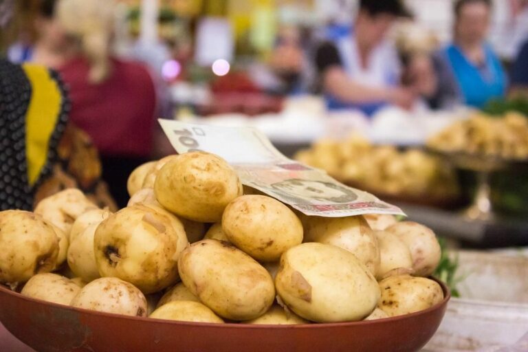 В Україні подешевшала картопля: скільки коштує кілограм на початку жовтня - today.ua