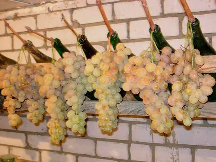 Как сохранить дома виноград до весны: самые простые и рабочие лайфхаки