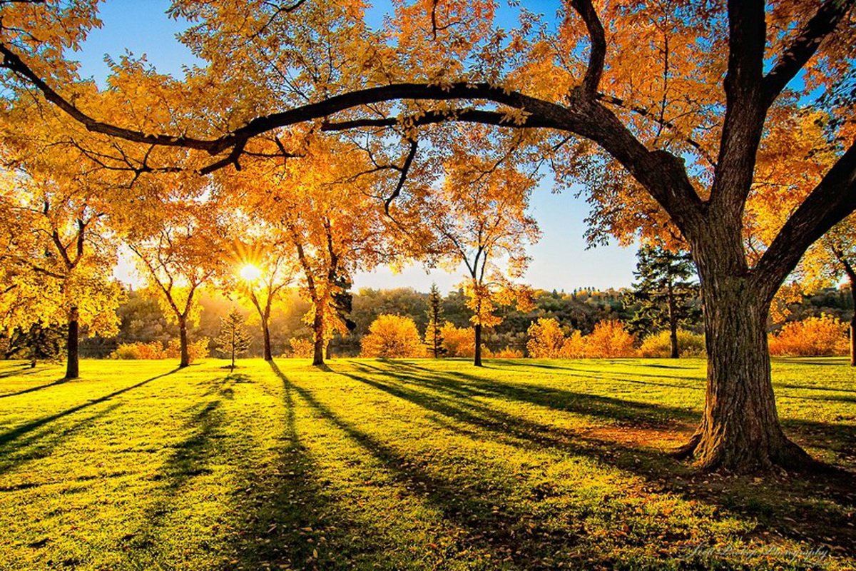 В Украину идет почти летнее тепло: погода на выходные