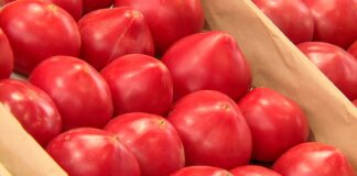 В Украине резко выросли цены на помидоры: сколько стоит овощ на рынках и в супермаркетах в середине октября - today.ua