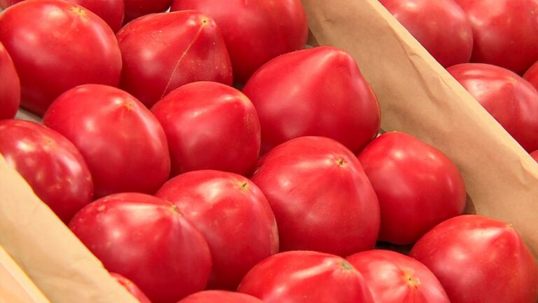 В Украине резко выросли цены на помидоры: сколько стоит овощ на рынках и в супермаркетах в середине октября - today.ua