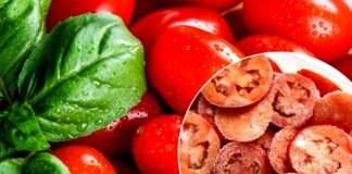 Як заморозити помідори на зиму, щоб овочі не втратили смак: 3 способи - today.ua