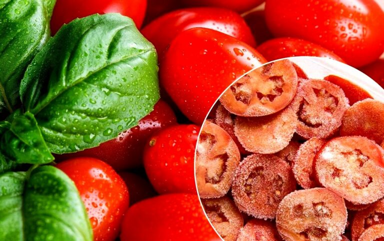 Как заморозить помидоры на зиму, чтобы овощи не потеряли вкус: 3 способа  - today.ua