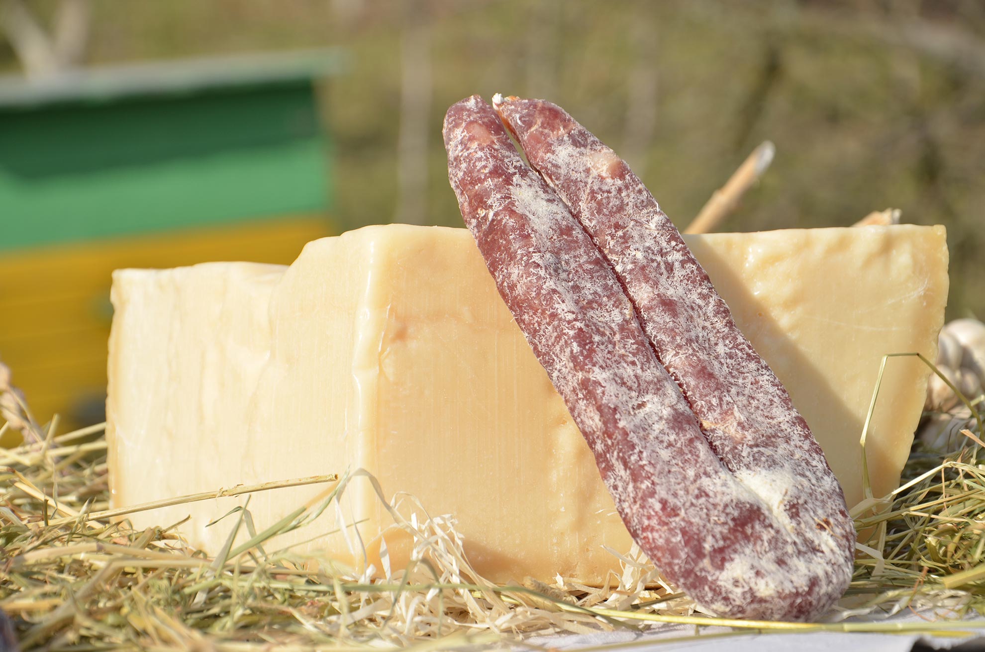 В Украине подорожали сыры и колбасы: супермаркеты обновили ценники в середине октября