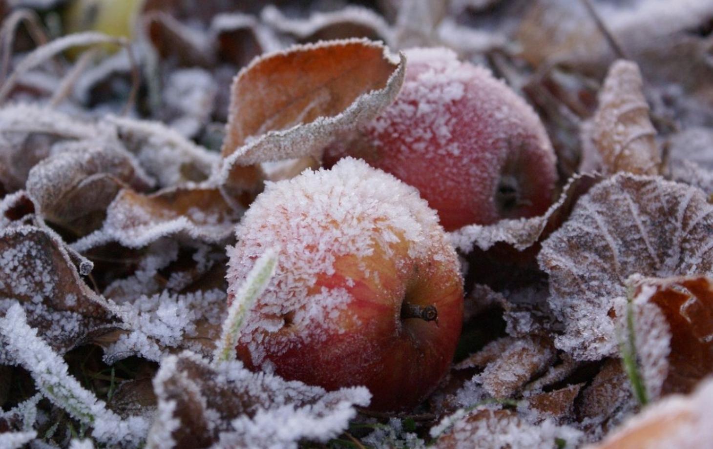 Первый снег и заморозки: синоптики рассказали, какой будет погода в Украине в ноябре 2022