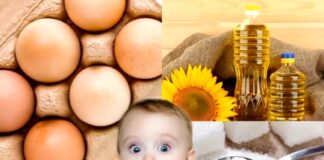 В АТБ обвалилися ціни на яйця та соняшникову олію: скільки коштують продукти наприкінці травня  - today.ua