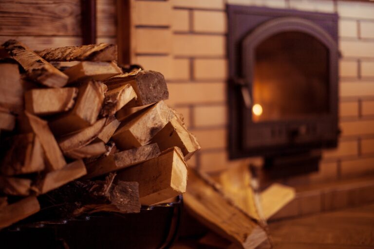 Погано горять і засмічують піч: якими дровами краще не опалювати будинок взимку - today.ua