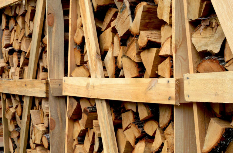 Дрова в Україні подорожчали вдвічі: хто і як може отримати безкоштовну паливну деревину від держави - today.ua