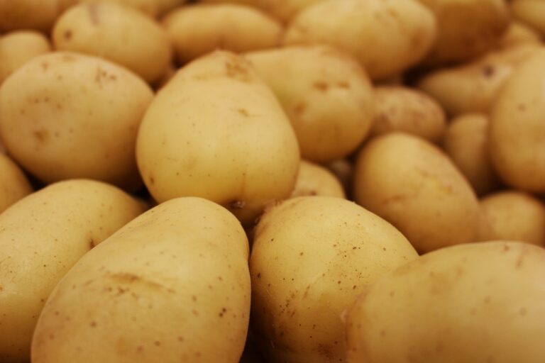 Українцям назвали головні причини подорожчання картоплі взимку: прогнози фермерів - today.ua