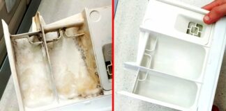 Як почистити лоток в пральній машині від залишків порошку та накипу: один дешевий засіб - today.ua