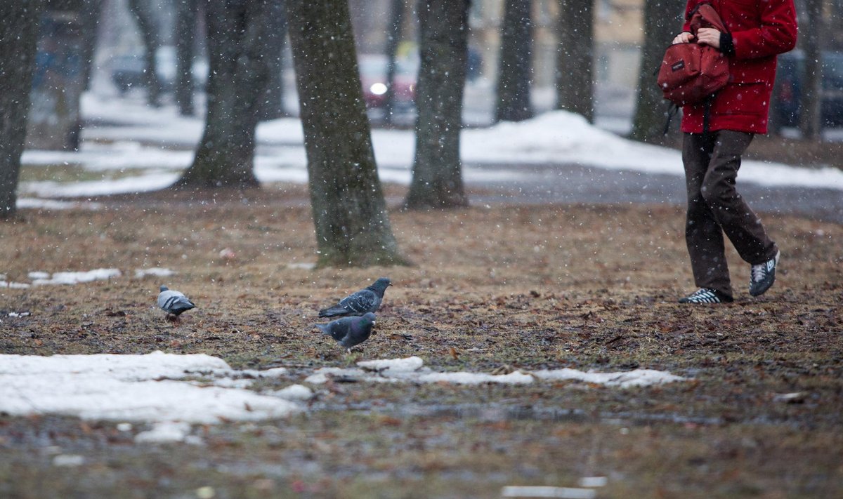 Синоптики прогнозируют похолодание до -16 градусов уже на этой неделе: прогноз погоды по областям Украины