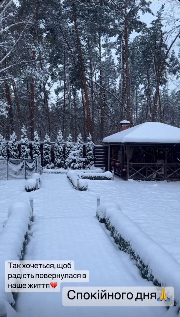 Как в сказке: Лилия Ребрик похвасталась, как выглядит ее роскошный загородный дом в снегу