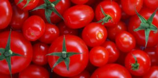 В Украине резко подорожали помидоры: сколько стоят овощи в супермаркетах в середине ноября - today.ua