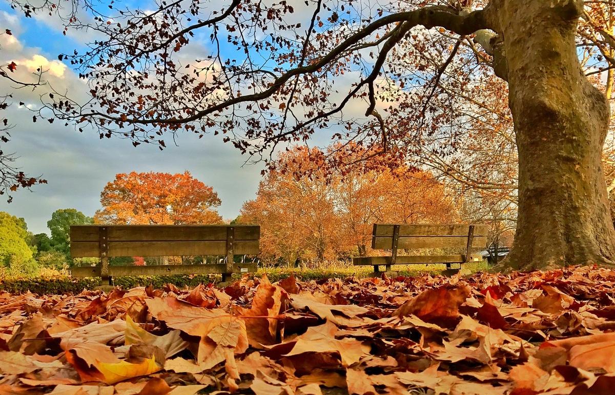 Украину накроет еще одна волна потепления в ноябре: синоптики рассказали о погоде на ближайшую неделю