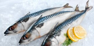 В торговых сетях стремительно растут цены на рыбу - today.ua