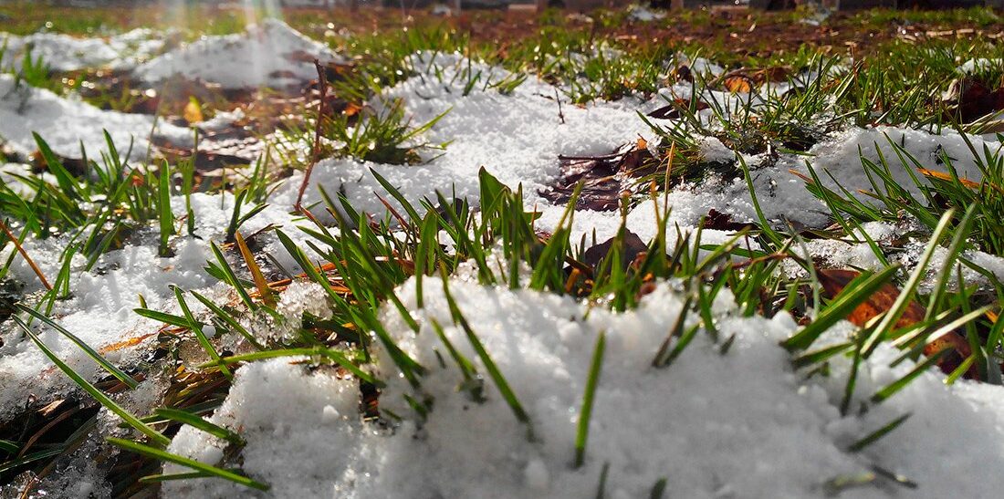 После заморозков в Украину придет потепление до +20: синоптики рассказали о погоде на следующую неделю