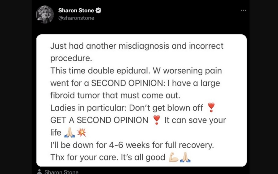 Понад місяць на лікування: у Шерон Стоун виявили рідкісну пухлину
