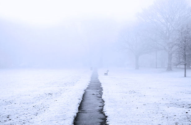 Мокрий сніг, ожеледиця та заморозки до -10 градусів: синоптики розповіли про погоду в Україні в останні дні листопада