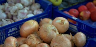 В Украине подешевели картофель, морковь и лук: супермаркеты обновили ценники на популярные овощи - today.ua