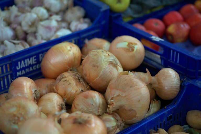 В Україні подешевшали картопля, морква та цибуля: супермаркети оновили цінники на популярні овочі - today.ua