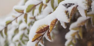 После первого снега и заморозков Украину накроет еще одна волна потепления: синоптики сделали прогноз погоды до конца ноября - today.ua