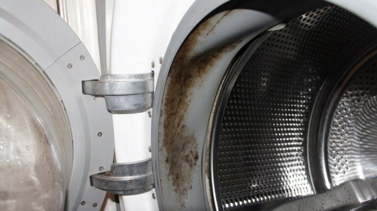 Як легко і швидко відмити від плісняви гумку в пральній машинці: потрібно лише один дешевий засіб - today.ua