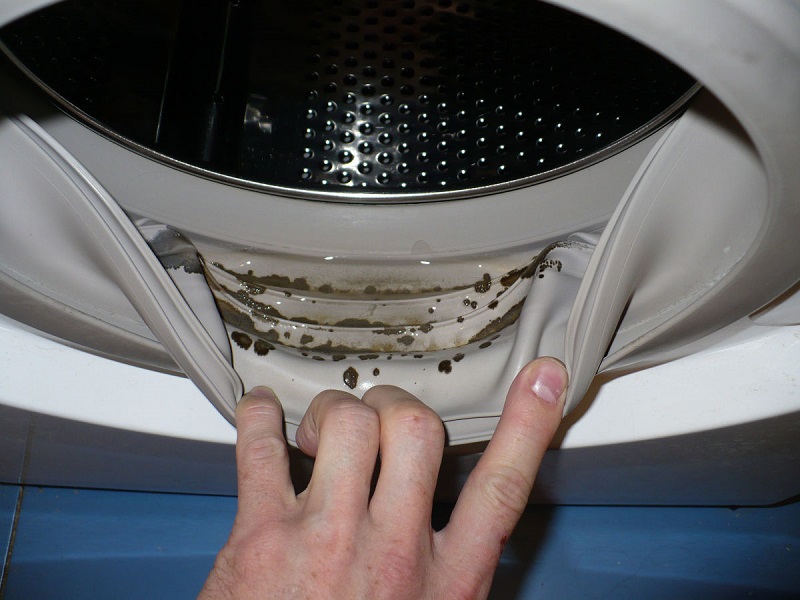Как легко и быстро отмыть от плесени резинку в стиральной машинке: нужно всего одно дешевое средство